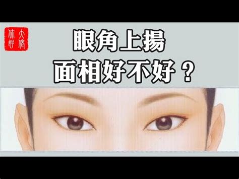 眼尾上揚面相|面相好不好？一半看眼睛！最全眼型圖解